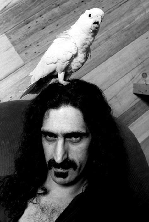 Frank Zappa Hollywood 1979