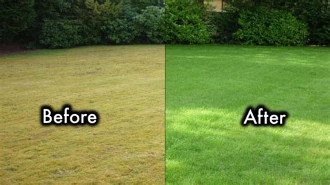 Which Fertilizer Greens Up A Lawn Fastest How To Green Up A Lawn Fast