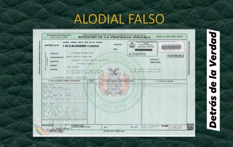 Notaría advierte transferencia irregular de inmueble con alodial falso