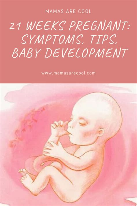 21 Weeks Pregnant Tips Symptoms And More What To Expect 21 Weeks