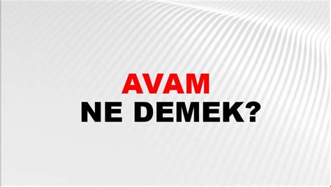 Avam Ne Demek Avam Kelimesinin TDK Sözlük Anlamı Nedir NTV Haber