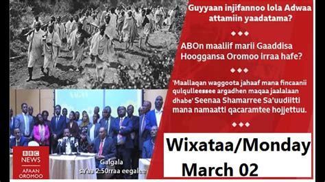 Bbc News Afaan Oromo Mondaymarch 02 2020oduu Afaan Oromoo Wixataabbc