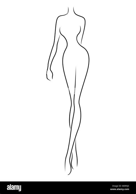 Female Body Illustration Outline Cut Out Stock Images And Pictures Page