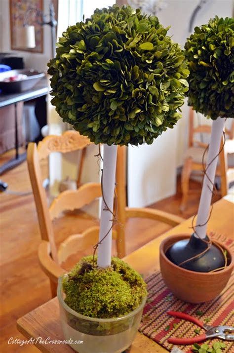 Diy Preserved Boxwood Topiary Cottage At The Crossroads