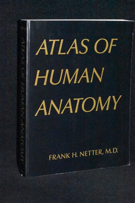 Atlas Of Human Anatomy By Frank Netter Md Very Good Soft Cover 1994