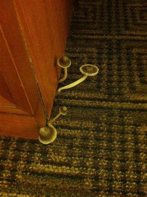 18 Most Disgusting Hotels That You’ll Never Want To Stay In