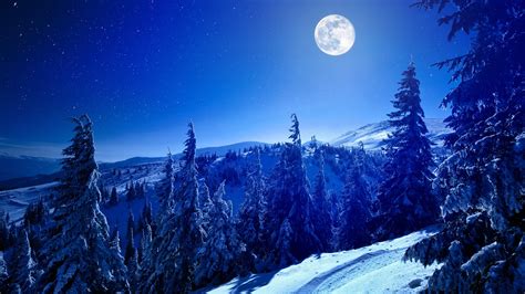 Full Moon Over Winter Forest Wallpaper Hd Nature 4k