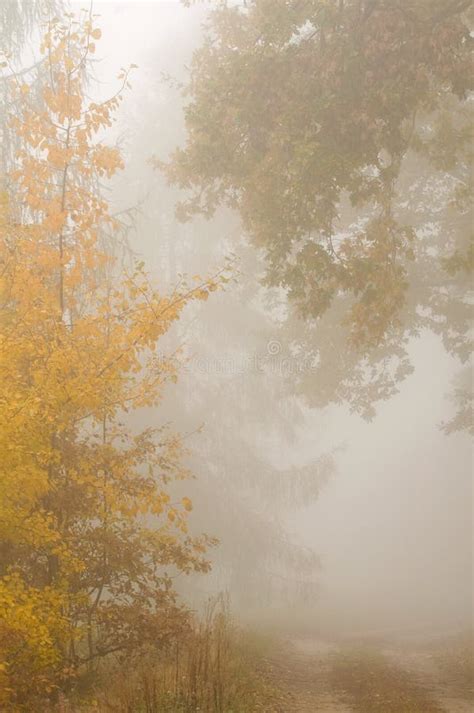 Autumn Mist Stock Image Image Of Outdoor Landscape 27355289