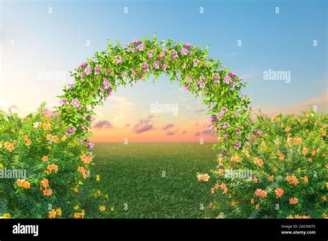 Arch Wedding Hi Res Stock Photography And Images Alamy
