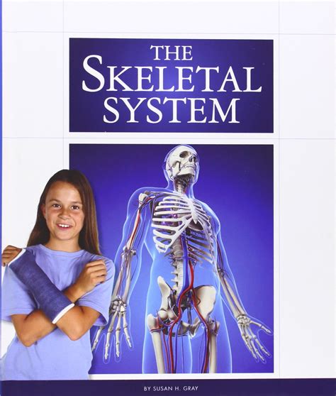 The Skeletal System Pdf Pdf Medicalcom