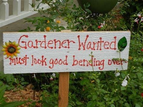 25 Super Funny Garden Signs A Girl And A Glue Gun