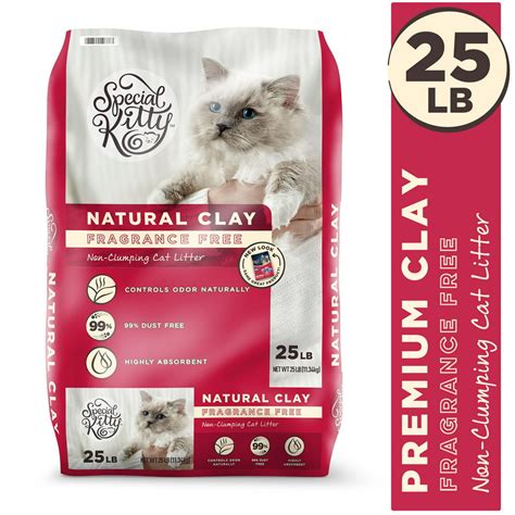 Special Kitty Fragrance Free Natural Clay Non Clumping Cat Litter 25