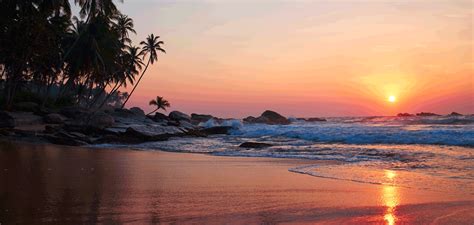 Top 10 Beach Destinations In India In 2024