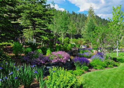 Solutions To The 30 Biggest Landscaping Mistakes — Hgtv Traditional