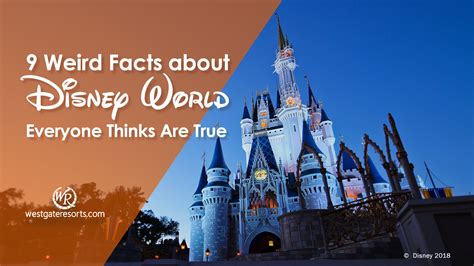 9 Weird Facts About Disney World Everyone Thinks Are True Things To