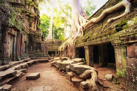 Angkor Wat Cambodia Ta Prohm Khmer Temple Exo Travel Blog