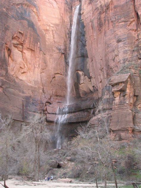 Outindewoods Zion National Park Utah