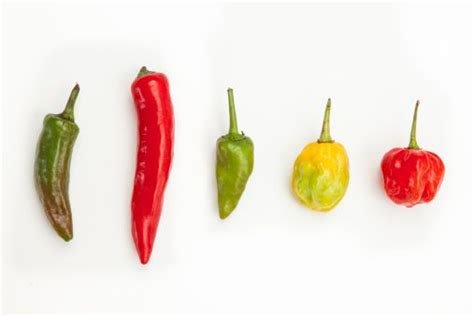 How Spicy Foods Could Increase Your Life Expectancy Stuffed Peppers