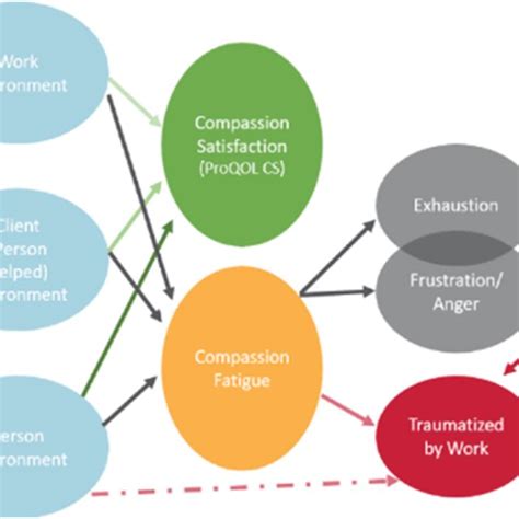 Prisma Flow Diagram Of Professional Quality Of Life Proqol
