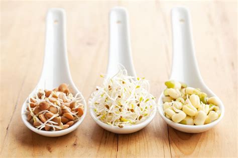 sprouting grains and seeds at home and health benefits