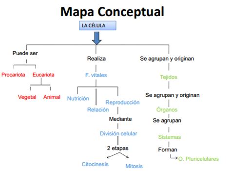 El medio organizado de una u otra forma como movilizador de los procesos de desarrollo y el patio nos puede ofrecer un medio idóneo para globalizar, al parecer, multitud de temas interconectados y zona de juegos populares: Science Class: La Célula 5°