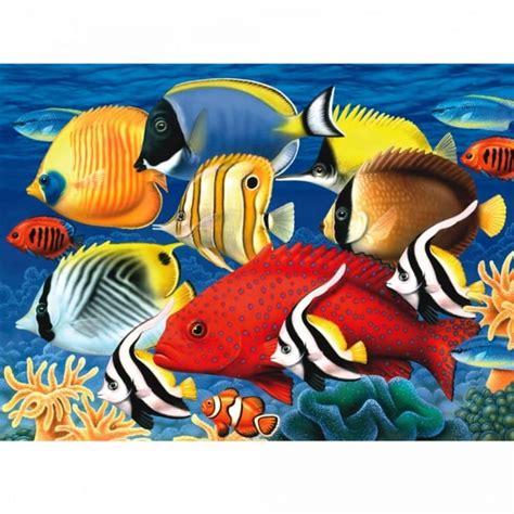 Tropical Fish Large Paint By Numbers Uk