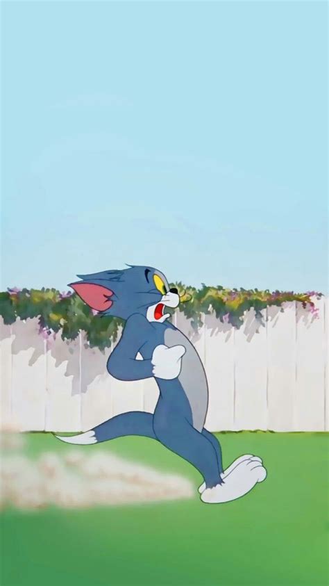 The best gifs are on giphy. Pin by n on Hình nền điện thoại | Tom and jerry wallpapers, Cartoon wallpaper, Disney wallpaper