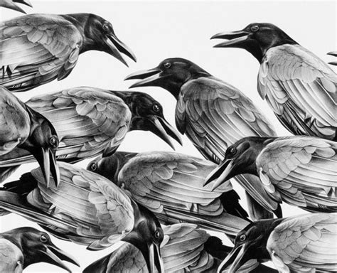 Photorealistic Pencil Drawings Bird Drawings Illustration Art Bird