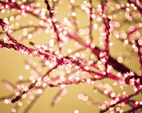 Christmas Lights Pink Lights Winter Photography Fairy Etsy