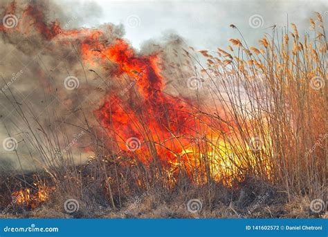 Big Flames On Field During Fire Accidental Disaster Stock Photo