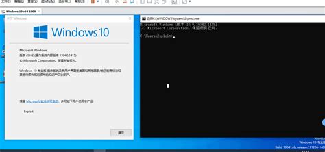 Cve Windows Privilege Escalation Penetration Testing Tools