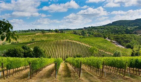 Consorzio Del Vino Nobile Di Montepulciano Perché è Importante