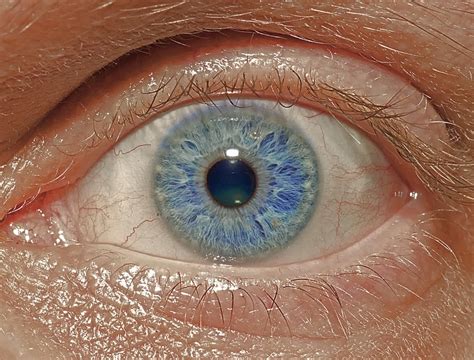 How To Photograph The Human Eye Iris Or Pupil Technology Share