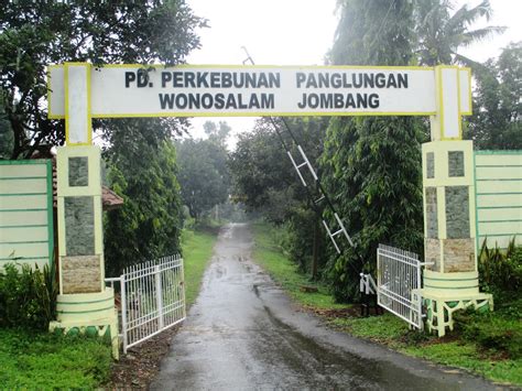 Dengan banyaknya tokoh agama serta pesantren yang ada di jombang, kabupaten yang satu ini disebut juga dengan kota santri. jombang city guide: Agrowisata PDP Panglungan : Kebun Raya ...