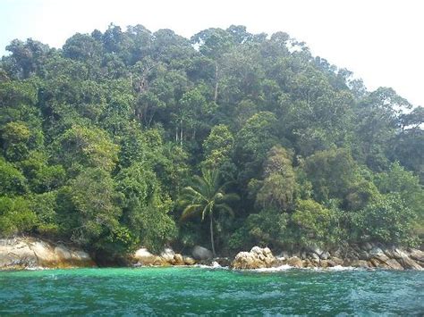 Pulau dengan hutan ini berdeketan. Pulau Sembilan (Lumut) - 2021 All You Need to Know Before ...