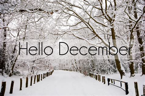 Hello December Pictures, Photos, and Images for Facebook, Tumblr