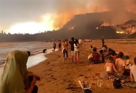 See more ideas about outdoor christmas, outdoor christmas decorations, christmas decorations. Australia Bush Fires how you can help!