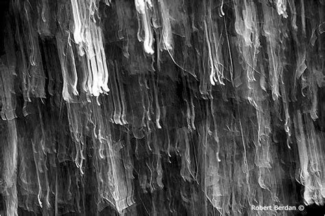 Black And White Abstract Photographs The Canadian Nature