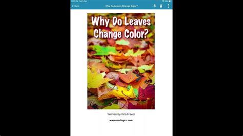 Book Why Do Leaves Change Color Youtube