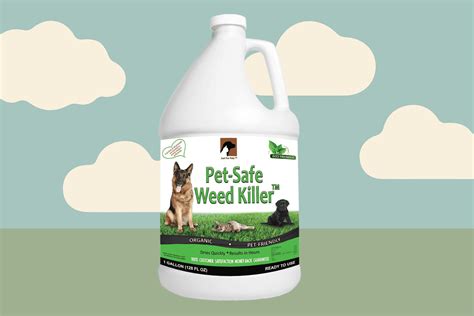 7 Best Pet Safe Weed Killers