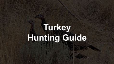 The Best Turkey Hunting Tips Gear And Guide