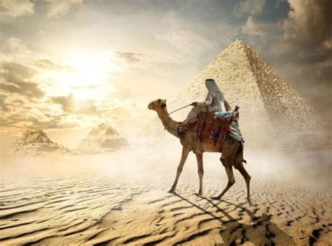 Ibn Battuta The Great Traveler Of The World A Journey Through