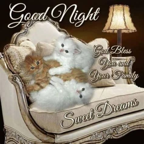 10 Best Good Night Messages Greetings For You Artofit