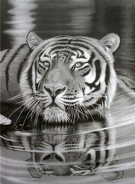 Pin By Tiger Follis On Tiger Drawings Cool Pencil Drawings Pencil
