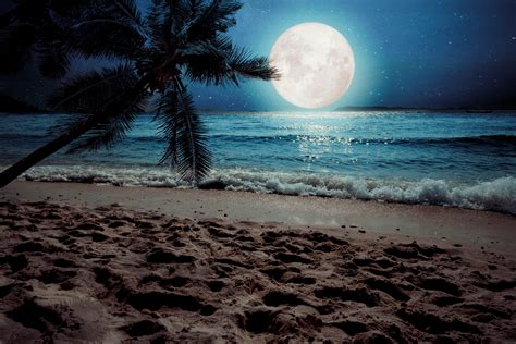 Moon Night Ocean Wallpaper