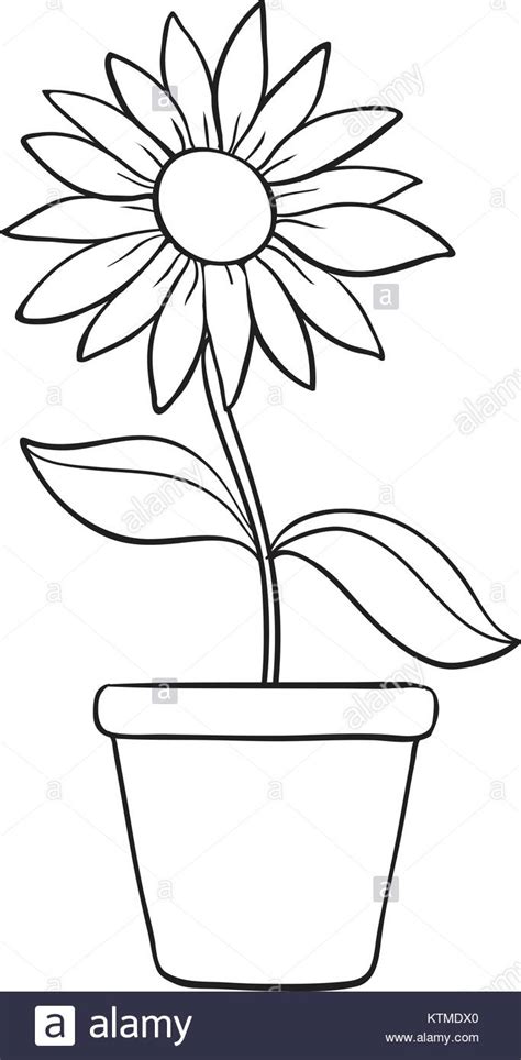 Buy the flower pot painting at lowest price by aparna biswas. Flower Pot Line Drawing at GetDrawings | Free download