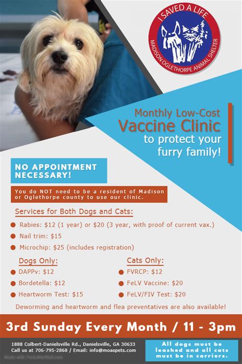 November Low-Cost Vaccine Clinic — MOAS Pets