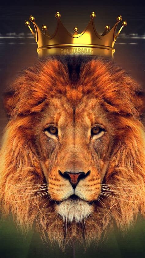 1920x1080px 1080p Free Download Lion King Crown King Crown Art