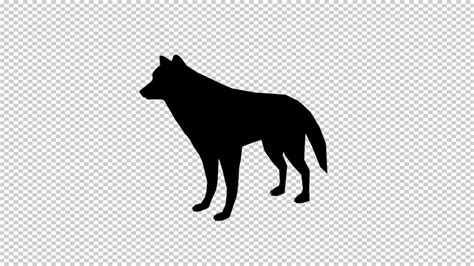Wolf Animated Cartoon Motion Graphics Youtube