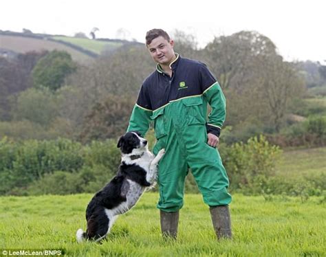 Sheepdog Survives Being Run Over By Tractor In Dorset Express Digest